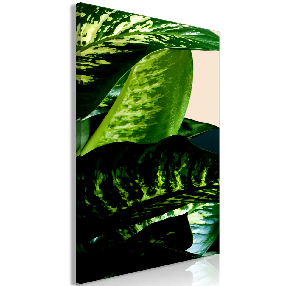 ⁨Image - Difenbachia (1-piece) vertical (size 80x120)⁩ at Wasserman.eu