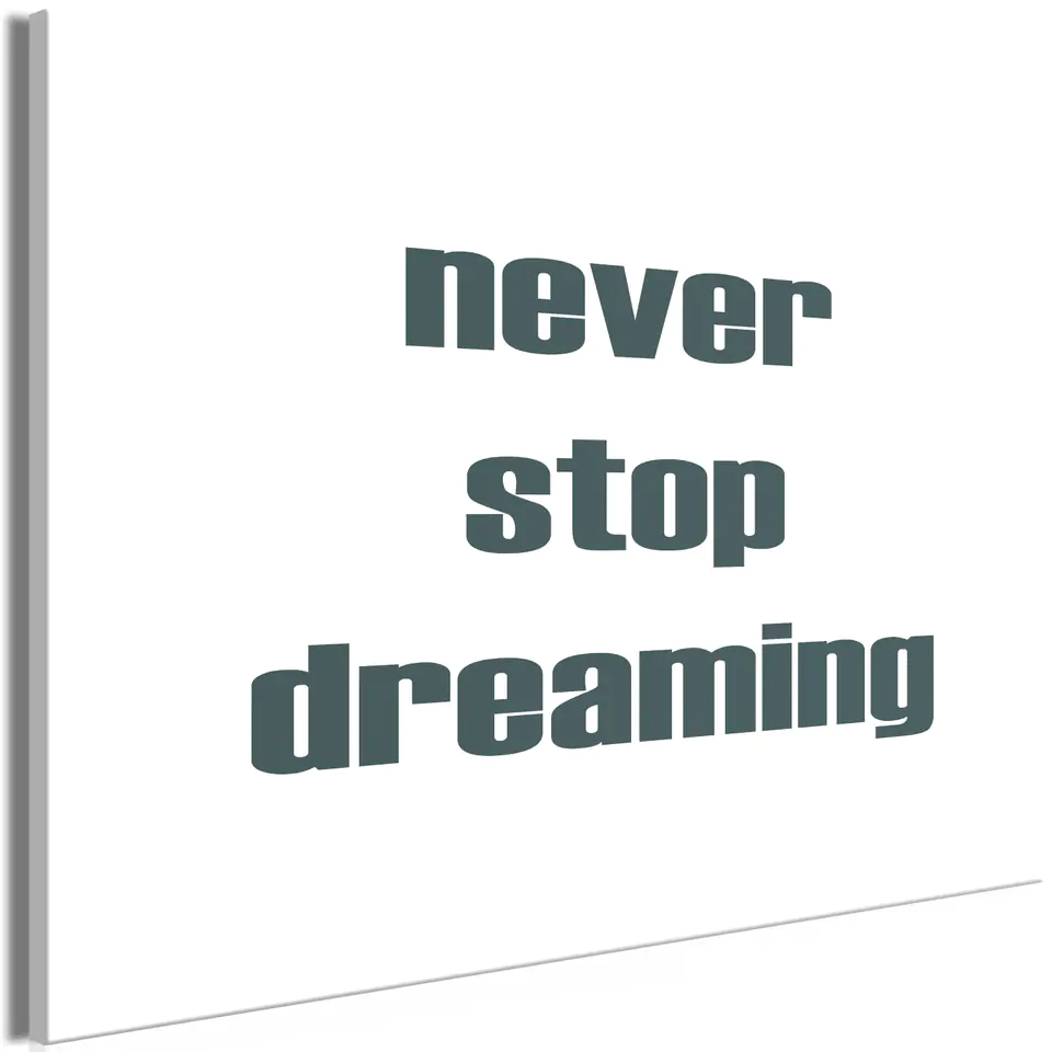 ⁨Obraz - Never Stop Dreaming (1-częściowy) szeroki (rozmiar 90x60, wykończenie Standard)⁩ w sklepie Wasserman.eu