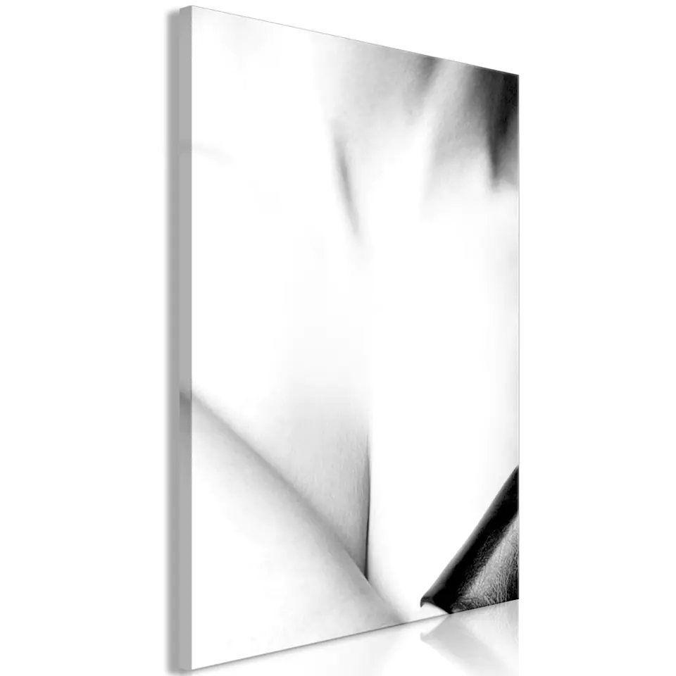 ⁨Obraz - Wdzięk (1-częściowy) pionowy (rozmiar 80x120, wykończenie Standard)⁩ w sklepie Wasserman.eu