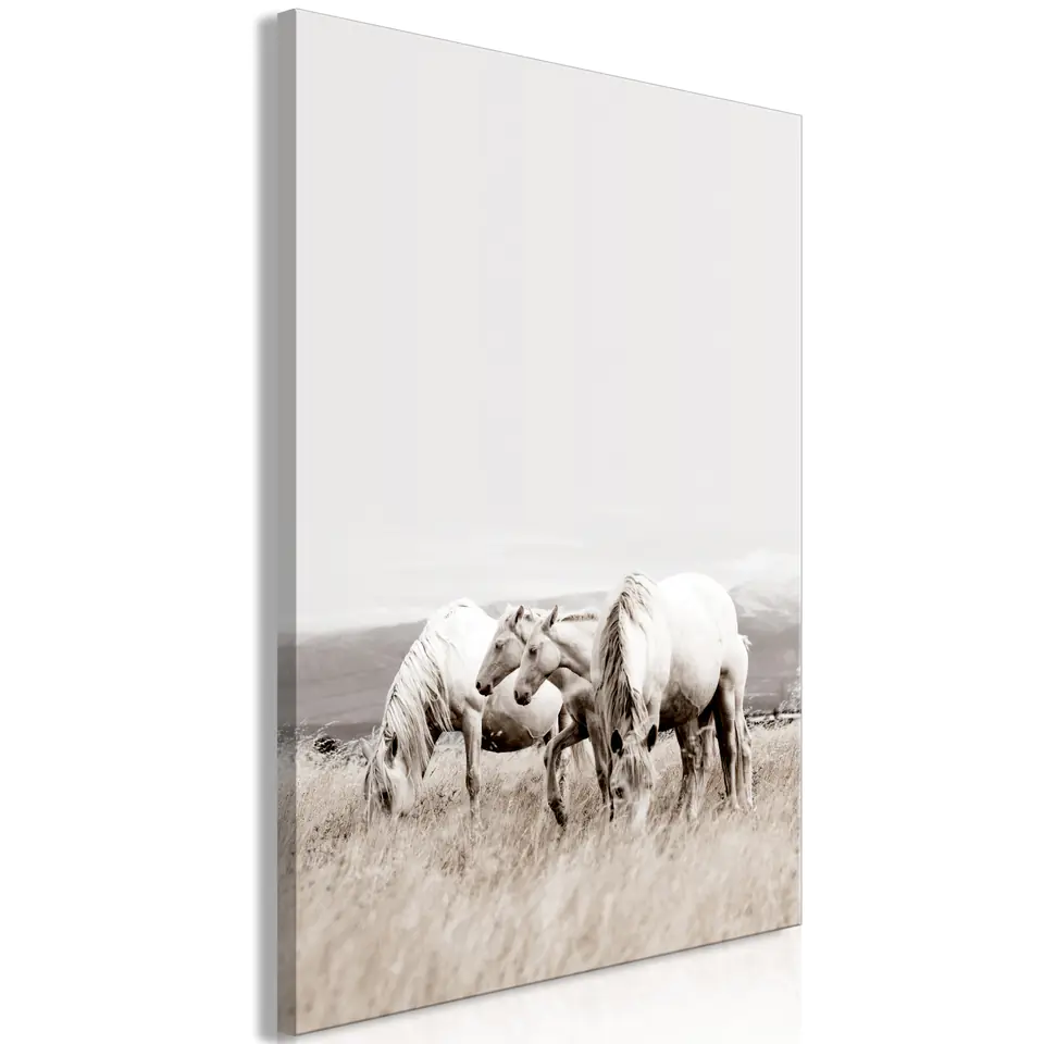 ⁨Picture - White horses (1-piece) vertical (size 60x90)⁩ at Wasserman.eu