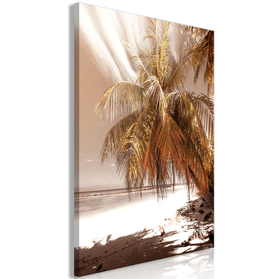 ⁨Obraz - Palmowy cień (1-częściowy) pionowy (rozmiar 60x90, wykończenie Standard)⁩ w sklepie Wasserman.eu