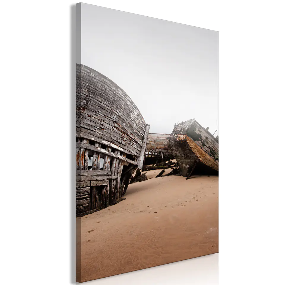 ⁨Picture - Abandoned boats (1-piece), vertical (size 60x90)⁩ at Wasserman.eu