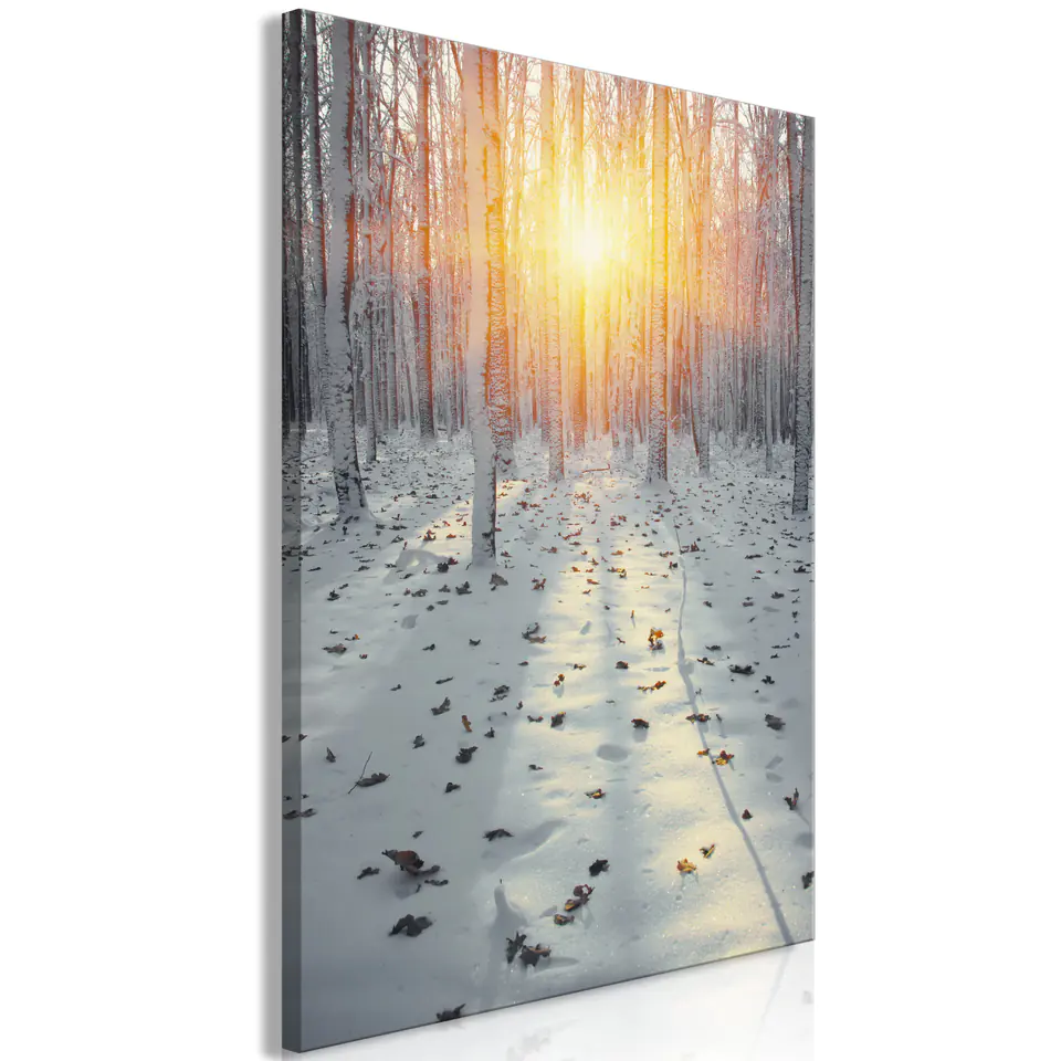 ⁨Picture - Winter afternoon (1-piece), vertical (size 60x90)⁩ at Wasserman.eu