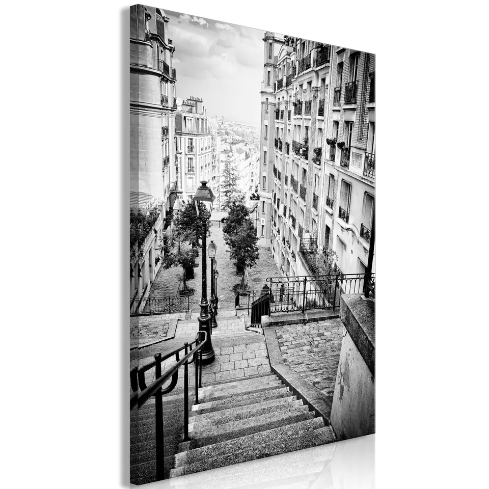⁨Obraz - Paryskie przedmieście (1-częściowy) pionowy (rozmiar 20x30, wykończenie Premium Print)⁩ w sklepie Wasserman.eu