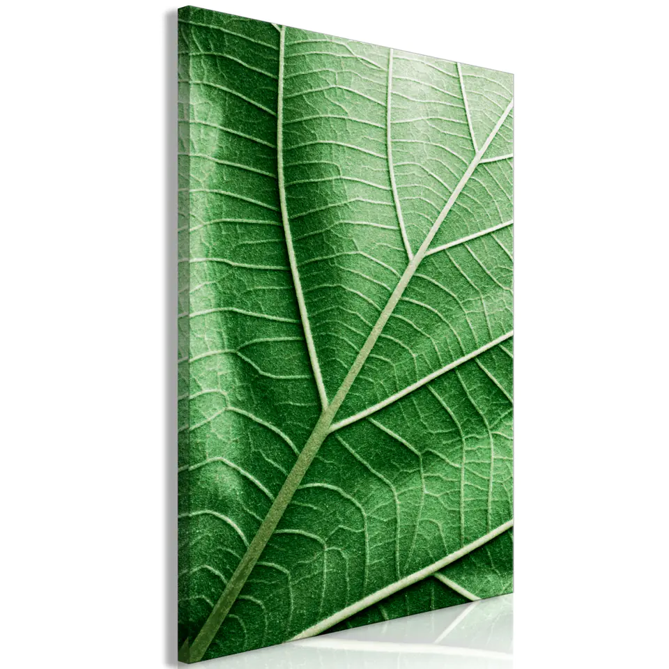 ⁨Obraz - Malachitowy liść (1-częściowy) pionowy (rozmiar 60x90, wykończenie Premium Print)⁩ w sklepie Wasserman.eu