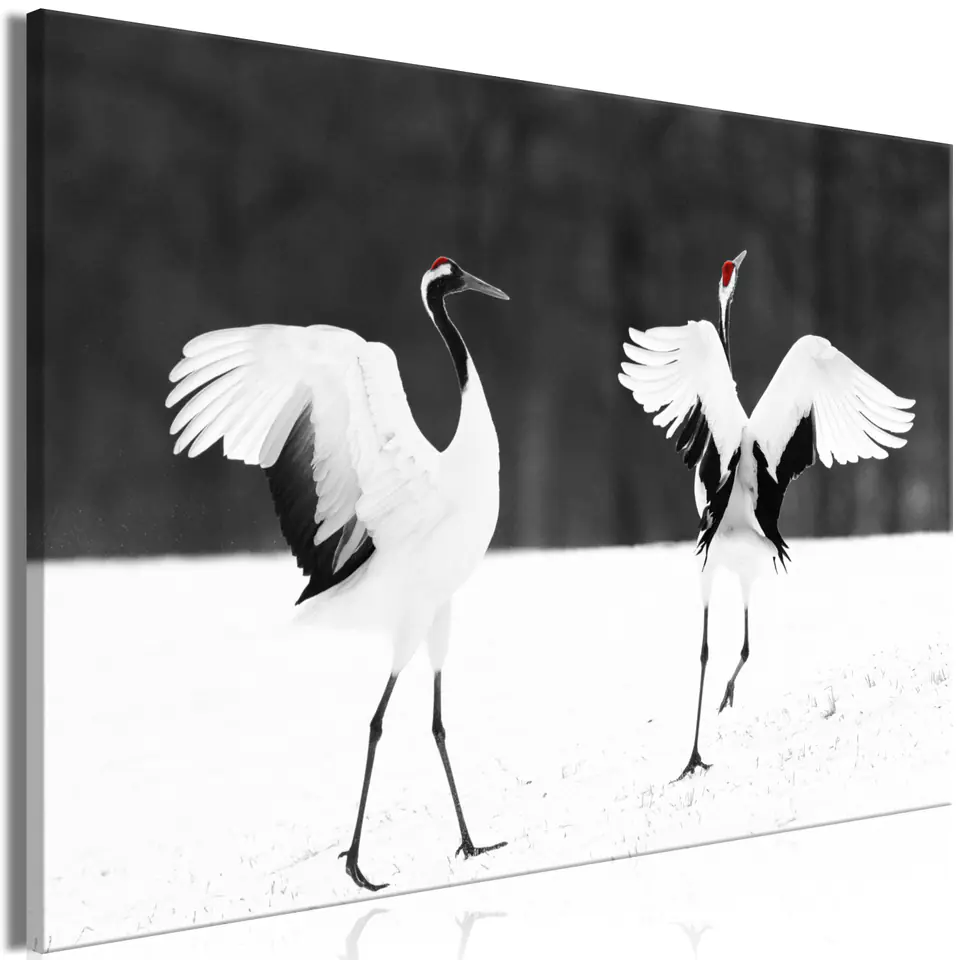 ⁨Obraz - Tańczące żurawie (1-częściowy) szeroki (rozmiar 120x80, wykończenie Standard)⁩ w sklepie Wasserman.eu