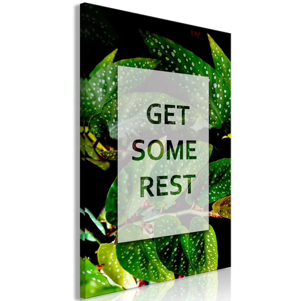 ⁨Picture - Get Some Rest (1-piece) vertical (size 60x90)⁩ at Wasserman.eu