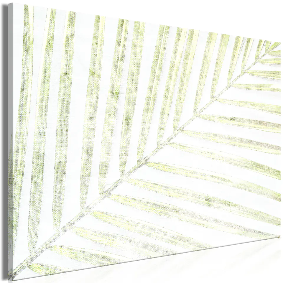 ⁨Picture - Palm leaf (1-piece) wide (size 60x40)⁩ at Wasserman.eu