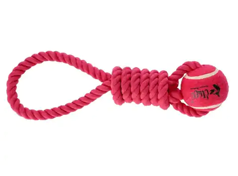 ⁨Dingo Zabawka dla psa - Piłka tenisowa z uchwytem Fresh 6,2x41cm różowa⁩ w sklepie Wasserman.eu