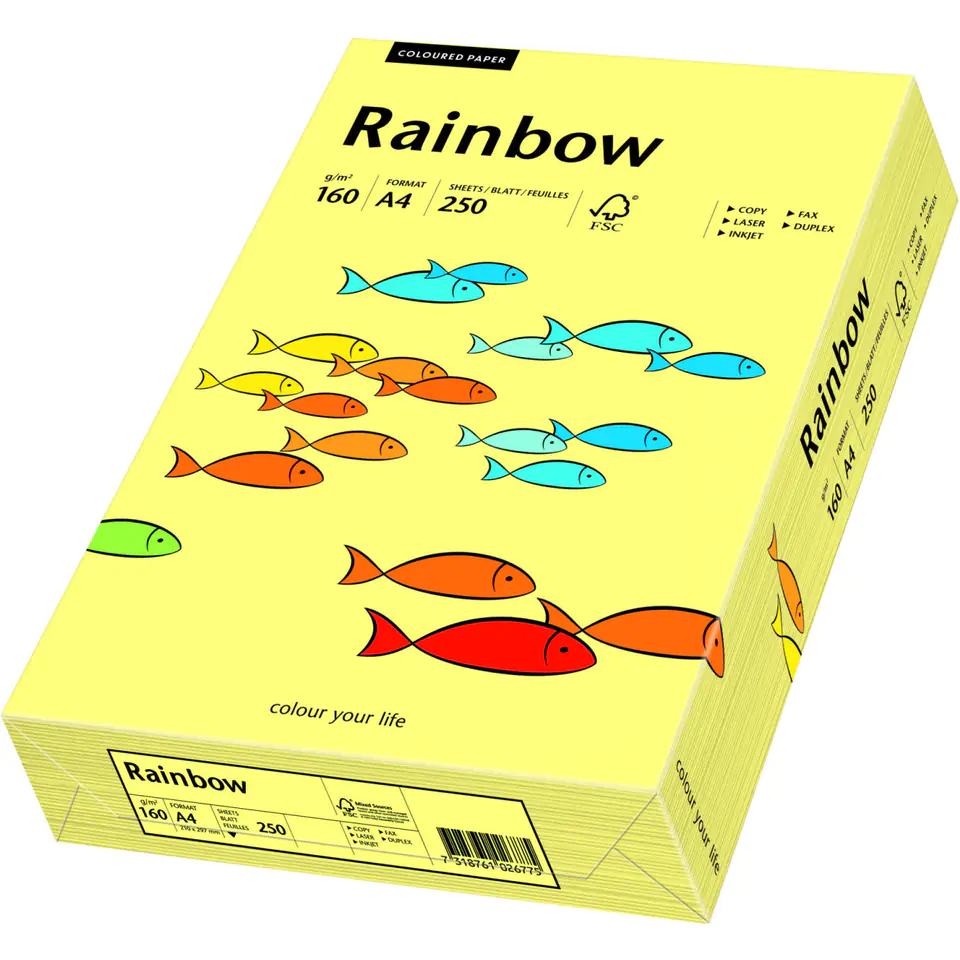 ⁨Colour photocopying paper A4 160g RAINBOW R12 light yellow (250ark) 88042305⁩ at Wasserman.eu