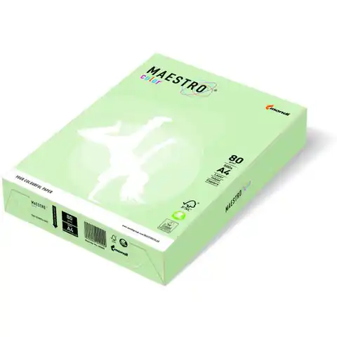 ⁨Photocopying paper A4 80g MAESTRO COLOR GN27 light green pastel⁩ at Wasserman.eu
