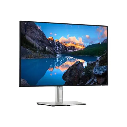 ⁨Dell | U2421E | 24 " | IPS | WUXGA | 1920 x 1200 | 16:10 | 8 ms | 350 cd/m² | Silver | Audio line-out (mini-jack) | HDMI ports q⁩ w sklepie Wasserman.eu