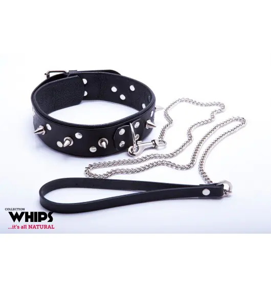 ⁨Whips Men's collar with a leash⁩ at Wasserman.eu