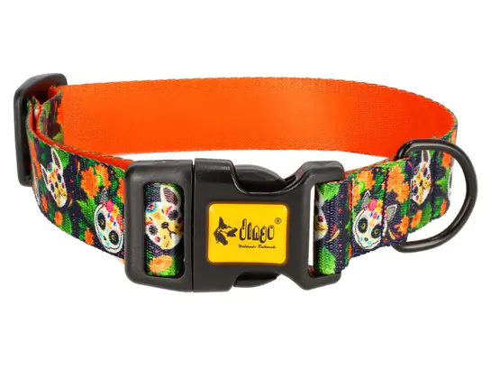 ⁨Dingo Adjustable collar City - Chiapas 3,0cm/60cm⁩ at Wasserman.eu