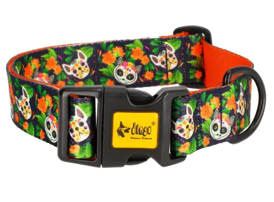 ⁨Dingo Adjustable collar City - Chiapas 4,0cm/75cm⁩ at Wasserman.eu