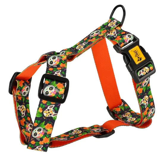 ⁨Dingo Double Strap Guard City - Chiapas size M⁩ at Wasserman.eu