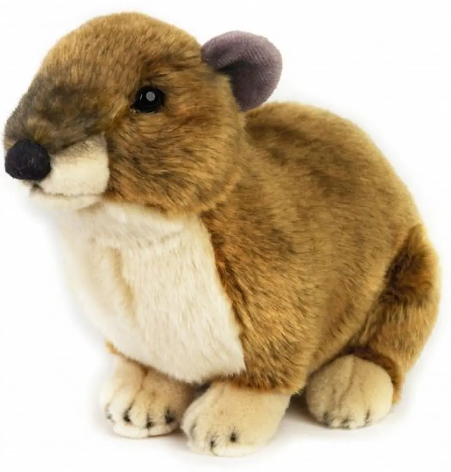 Dante Plush National Geographic at Wasserman.eu