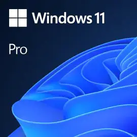 ⁨Microsoft Windows 11 Pro 1 license(s)⁩ at Wasserman.eu