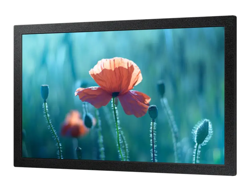 Monitor 13 inches QB13R LH13QBREBGCXEN at Wasserman.eu