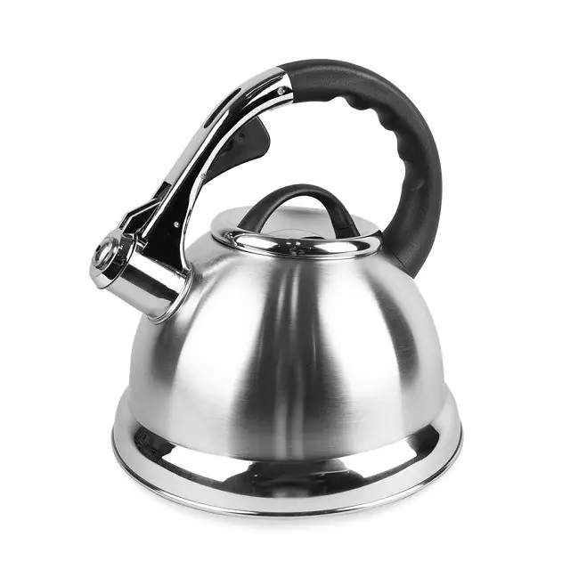 ⁨Feel-Maestro MR-MR-1328 kettle⁩ at Wasserman.eu