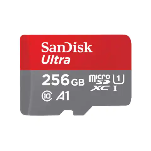 ⁨SanDisk Ultra 256 GB MicroSDXC UHS-I Class 10⁩ at Wasserman.eu