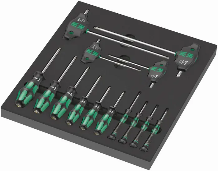 ⁨FOAM INSERT WITH SCREWDRIVERS FOR SCREWS AND SCREWS TORX 14CZ,⁩ at Wasserman.eu