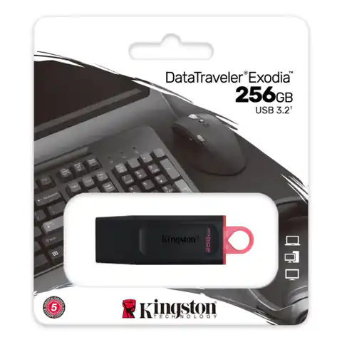 ⁨Kingston Technology DataTraveler Exodia USB flash drive 256 GB USB Type-A 3.2 Gen 1 (3.1 Gen 1) Black⁩ at Wasserman.eu
