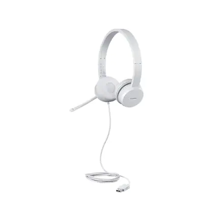 ⁨Lenovo GXD1E71385 headphones/headset Wired Wrist Calls/Music USB Type-A Grey⁩ at Wasserman.eu
