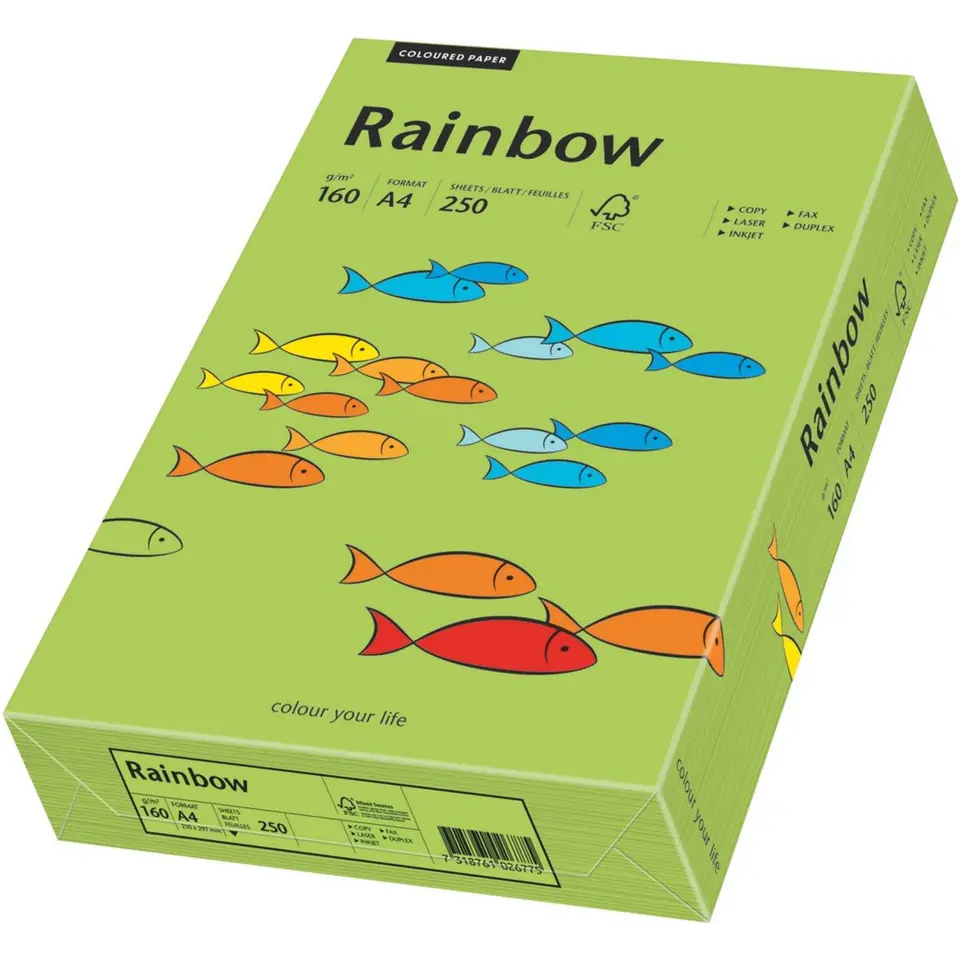 ⁨Colour photocopying paper A4 160g RAINBOW R76 green 88042659⁩ at Wasserman.eu