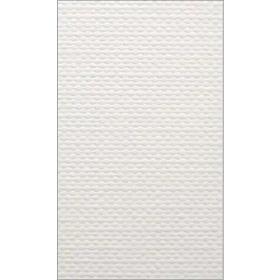 ⁨Carton of visas. A4 peel white W06 (20) 246g DASH⁩ at Wasserman.eu