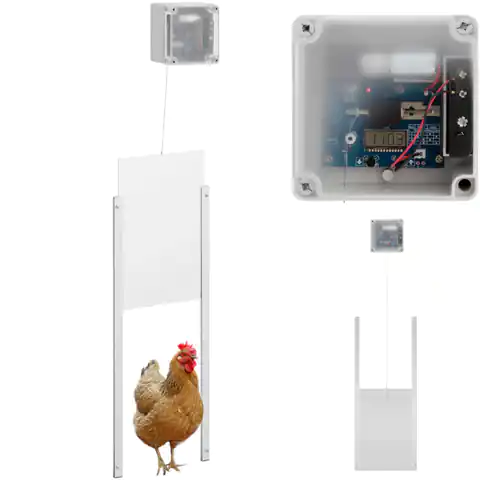 ⁨Automatyczna klapa drzwi do kurnika z czujnikiem światła zasilaniem bateryjnym LCD⁩ w sklepie Wasserman.eu
