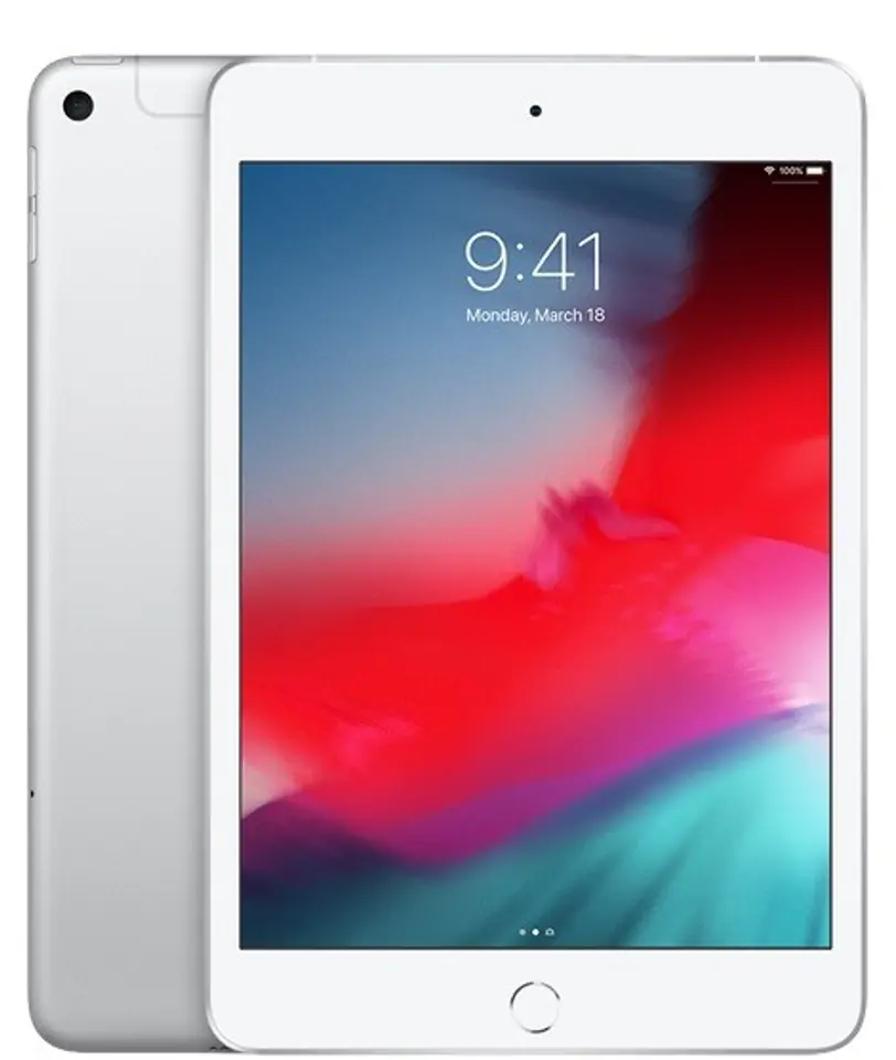 iPad mini Wi-Fi + Cellular 256GB - Silver at Wasserman.eu