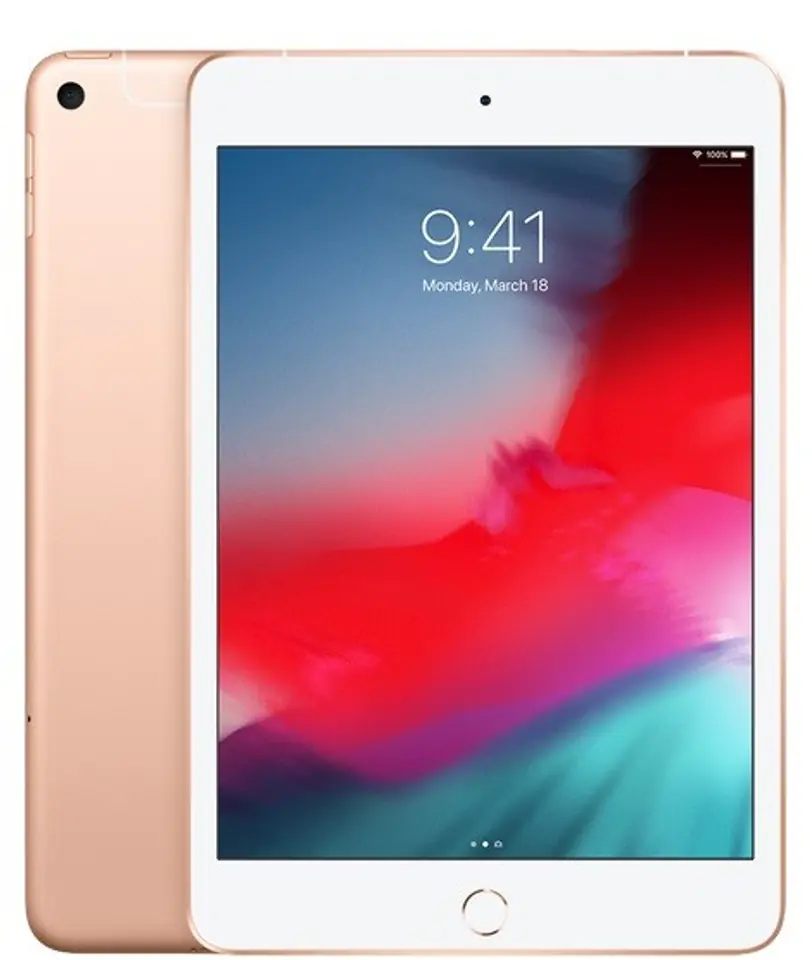 iPad mini Wi-Fi + Cellular 256GB - Gold at Wasserman.eu