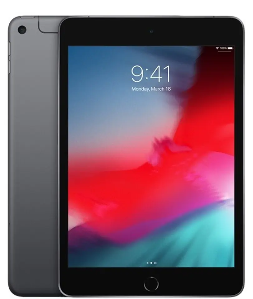 iPad mini Wi-Fi + Cellular 256GB - Space Grey at Wasserman.eu