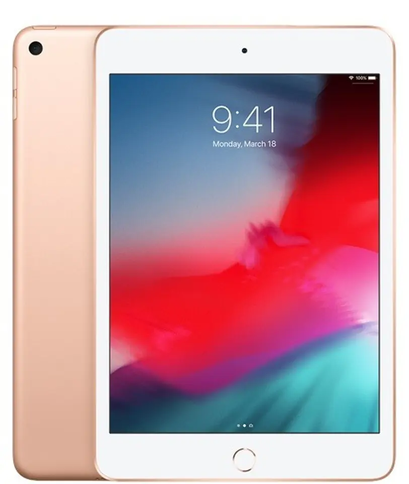 iPad mini Wi-Fi 256GB - Gold at Wasserman.eu