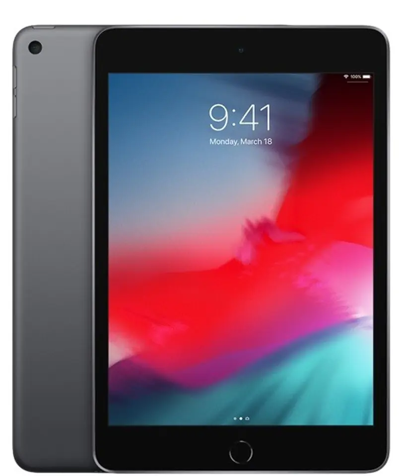 iPad mini Wi-Fi 256GB - Space Grey at Wasserman.eu