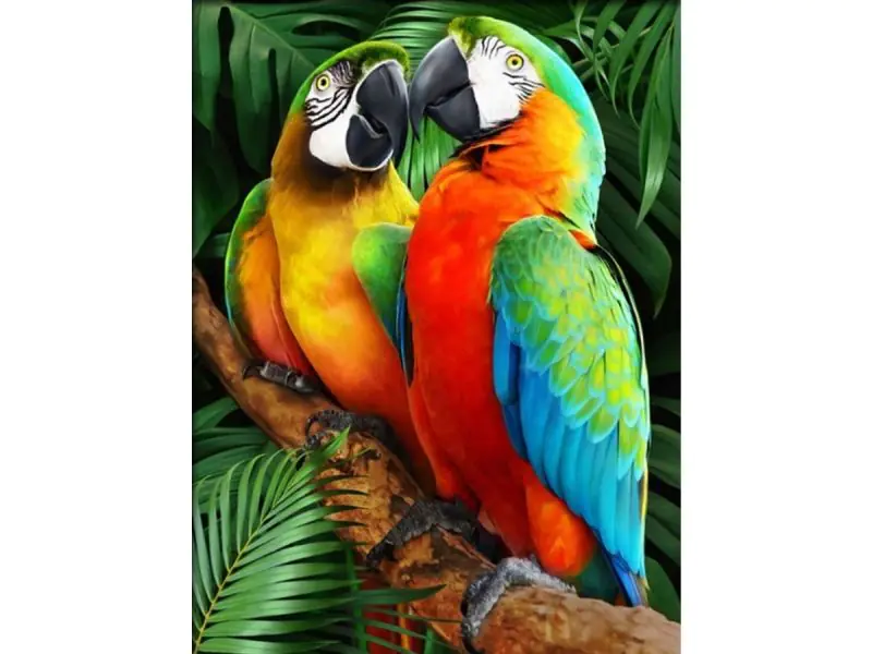 ⁨Diamond embroidery, painting, diamond mosaic diamond painting, COLORFUL MACAWS 30x40cm⁩ at Wasserman.eu