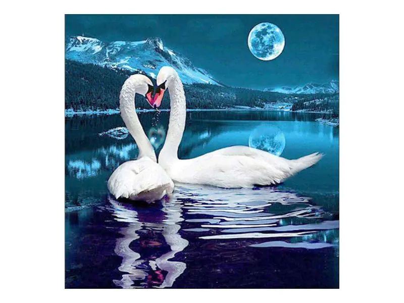 ⁨Diamond embroidery, painting, diamond mosaic diamond painting, TWO SWANS 30x30cm⁩ at Wasserman.eu