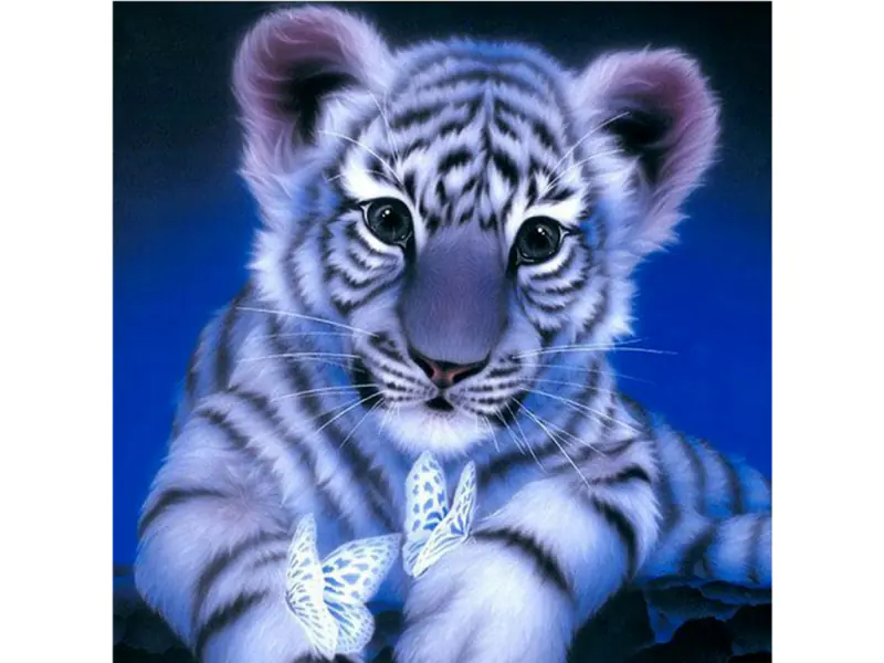 ⁨Diamond embroidery, picture, diamond mosaic diamond painting, SNOW TIGER 30x30cm⁩ at Wasserman.eu