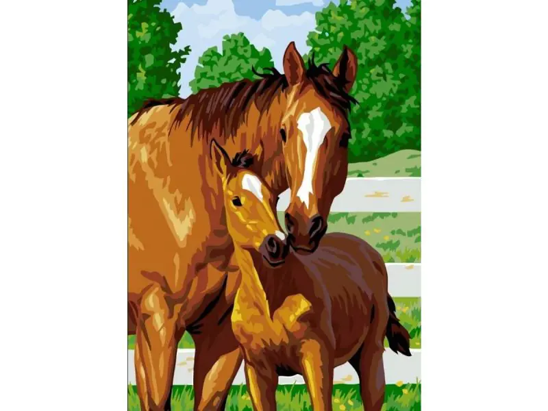 ⁨Diamond embroidery, picture, diamond mosaic diamond painting, LOVELY FOAL 30x40cm⁩ at Wasserman.eu