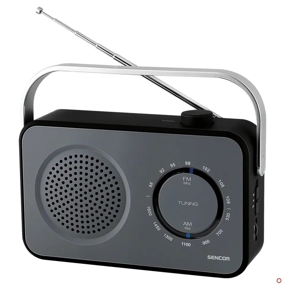 ⁨SRD 2100B Radio FM/AM⁩ at Wasserman.eu