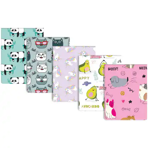 ⁨Cover for student documents girls' mix (10pcs.) FROM-21 BIURFOL⁩ at Wasserman.eu