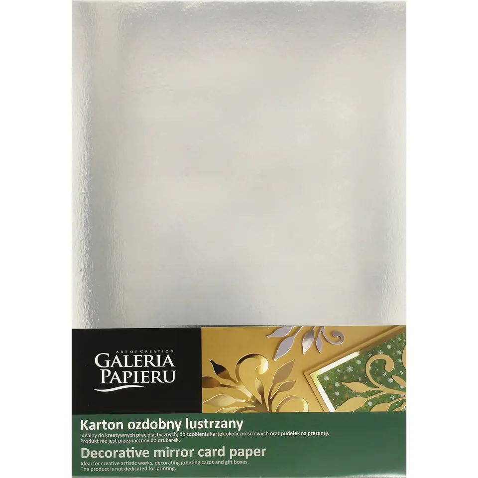 ⁨Decorative carton A4 SILVER mirror 300g (10) 208916 Paper Gallery⁩ at Wasserman.eu