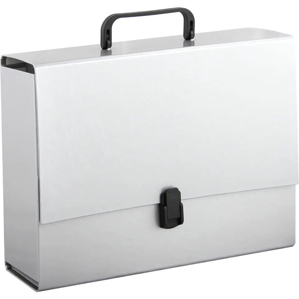 ⁨Folder with handle A4 10cm silver TT7670⁩ at Wasserman.eu