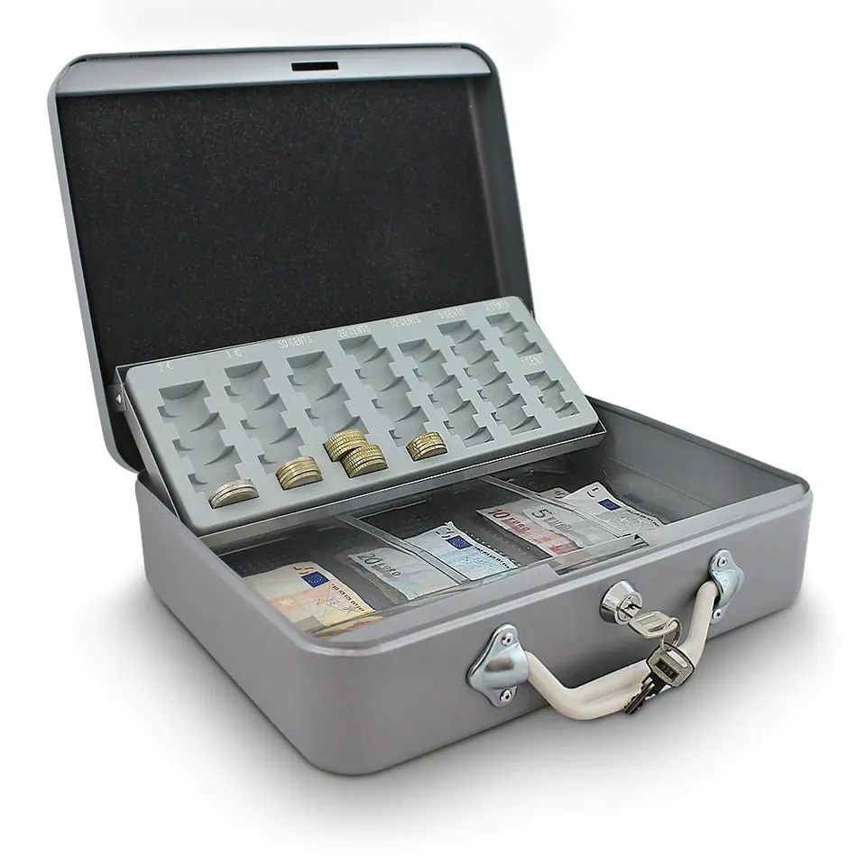 MONEY CASE COINS 30 cm TRANSPORT LIGHT GREY at Wasserman.eu