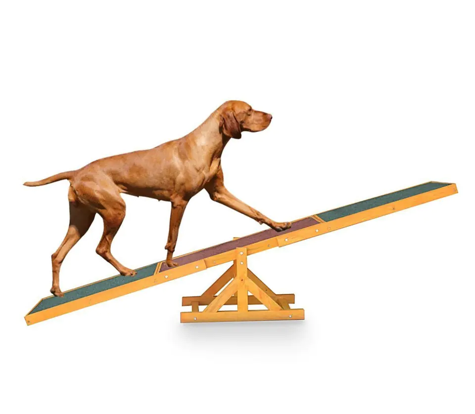 ⁨Balancing Arcade Swing Slipway for Dog⁩ at Wasserman.eu