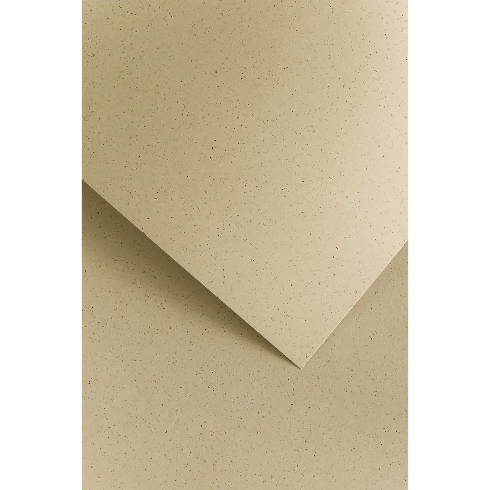 ⁨Decorative carton PEPPER brown 220g. (20ark.) 205218 Paper Gallery⁩ at Wasserman.eu