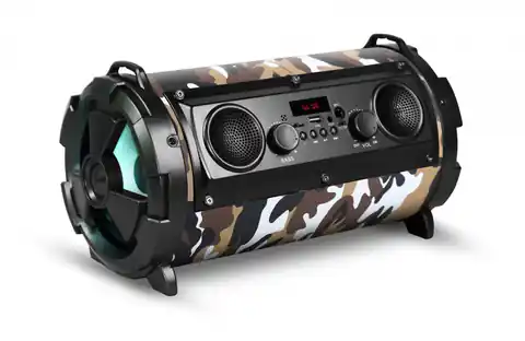 ⁨Bluetooth speaker SoundTube 190 camo⁩ at Wasserman.eu