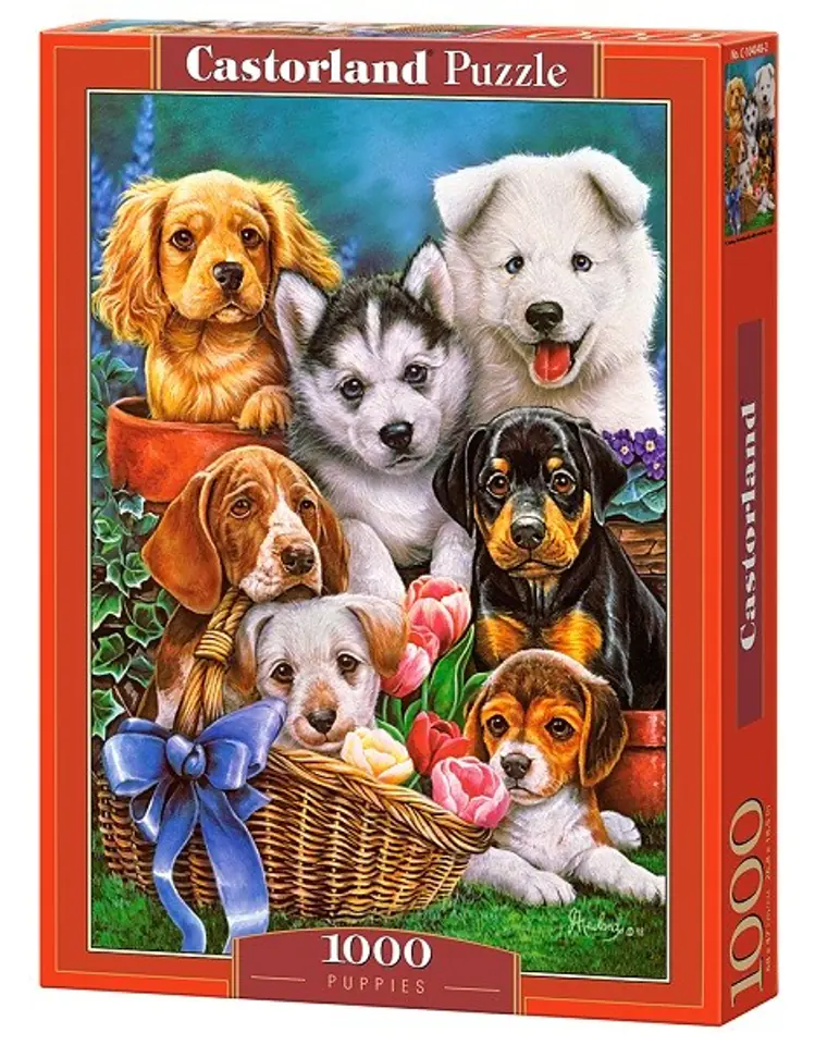 1000 Puppies at Wasserman.eu