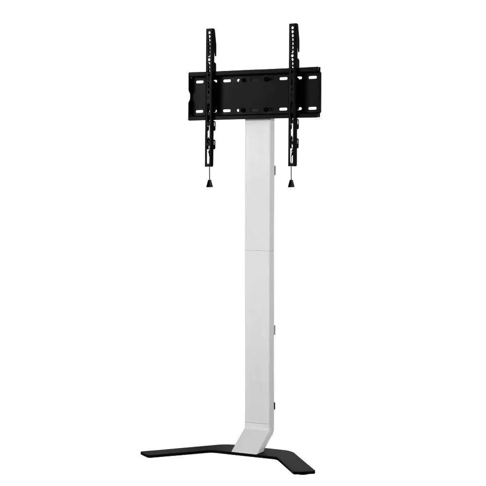 ⁨TV floor stand 32-70 inches 40kg slim⁩ at Wasserman.eu